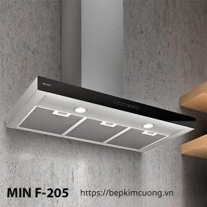 Máy hút khói khử mùi áp tường Malloca MIN F-205